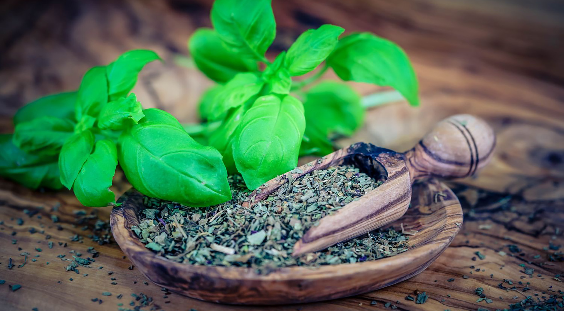 Greenlane Acupunture and Herbal